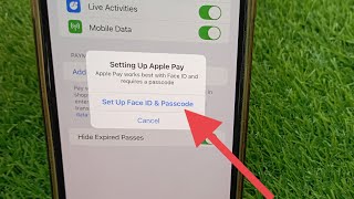 How to Fix quotSetting Up Apple Payquot Apple Pay works best with Face ID and requires a Passcode [upl. by Wolfy903]