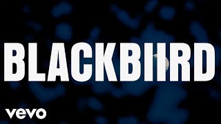 BLACKBIIRD Official Lyric Video [upl. by Etterraj367]