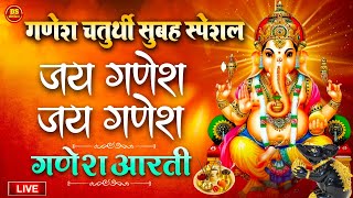 Jai Ganesh Jai Ganesh Deva  जय गणेश जय गणेश देवा  Ganeshji Ki Aarti  Ganesh Aarti [upl. by Meadows]