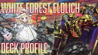 YUGIOH White Forest Eldlich Deck Profile [upl. by Persse164]