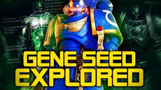 The Gene Seed from Warhammer 40K Analysis  Space Marine Augmentations and Lore Explored [upl. by Aggri246]