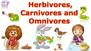 Herbivores Carnivores Omnivores  Types of Herbivores Carnivores Omnivores  Animals and their food [upl. by Wylde]