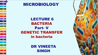 Unlocking Bacterial Secrets Conjugation Transformation and Transduction [upl. by Libbi]