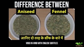 Difference between Aniseed and Fennel  Sauf  दो तरह के सौंफ पतली और मोटी सौफ  Everyday Life 81 [upl. by Eanod722]