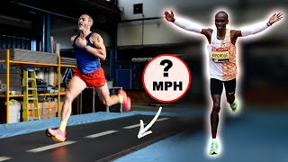 How LONG Can I Run At Eliud Kipchoges Record PACE [upl. by Ateerys]