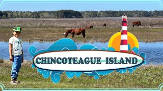 Chincoteague amp Assateague Islands  Virginia [upl. by Riabuz]