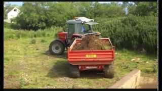 Carting soil with Massey Ferguson 3085 amp MF 590 [upl. by Aerdnad]