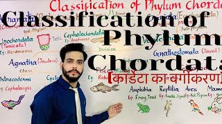 Classification of Phylum Chordata कॉर्डेटा का वर्गीकरण [upl. by Eveineg]