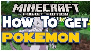 How to get Pokemon MCPE  Minecraft PE Pocket Edition [upl. by Nette]