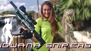 Lets go Iguana Hunting with a Pellet gun  Iguana Snipers 131 [upl. by Winnah433]