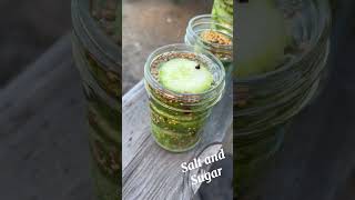 Making Quick Refrigerated Pickles Recipe [upl. by Peggie]