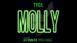 Molly  Tyga Clean [upl. by Gherardo]