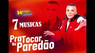 Nelson Nascimento O Rei da pisadinha 7 Musicas Pra Tocar no Paredão [upl. by Grant]