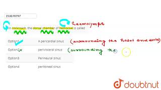In cockroach the dorsal chamber of hemocoel is called  CLASS 12  BODY FLUIDS AND CIRCULATION [upl. by Pattison]