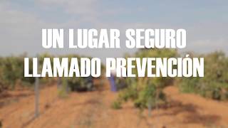 UN LUGAR SEGURO LLAMADO PREVENCIÓN III RIESGOS LABORALES EN LA VENDIMIA [upl. by Rafferty]