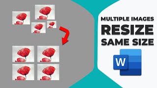 How to select multiple images in Word and resize same size [upl. by Razaile159]