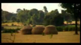 Ethiopian Music Video  AddisZefen [upl. by Adlev303]