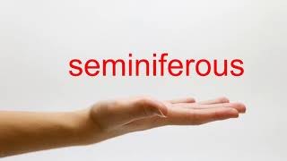 How to Pronounce seminiferous  American English [upl. by Rastus701]