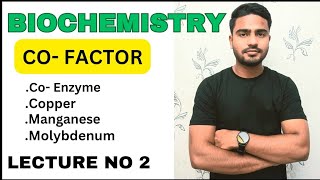 What is cofactor amp Prosthetic Group Co Enzymes and its typeNucleotide Derivativesbiochemistry [upl. by Yahsat940]