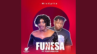 Funesa Nne feat Fortunator amp NTK wadi beat [upl. by Fridell]