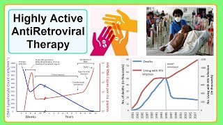 highly active antiretroviral therapy [upl. by Aleemaj]