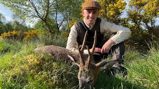 Bukkejagt i Skotland  Roebuck hunting in Scotland  Bockjagd in Schottland [upl. by Bernita64]