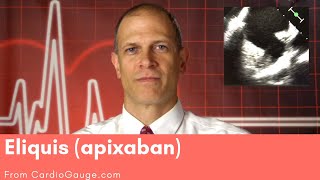 Eliquis apixaban Basics about this medicine its use effectiveness and side effects [upl. by Poulter950]