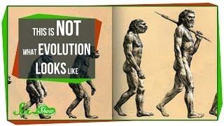 This is NOT What Evolution Looks Like [upl. by Yelik]