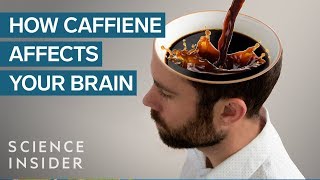 What Caffeine Does To Your Brain [upl. by Wyly190]