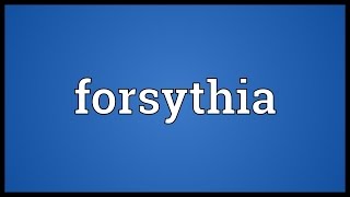 Forsythia Meaning [upl. by Einhapets]