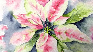 Watercolor pink poinsettias tutorial paint along demo [upl. by Auehsoj]