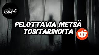 4 Pelottavaa Metsä Tositarinaa Redditistä [upl. by Goldner]