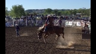 High Class Bucking Horses In The Short Go Round  2018 Miles City Bucking Horse Sale [upl. by Walther]