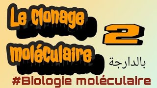 le clonage moléculaire PART II  بالعربية الدارجة [upl. by Nolaj]