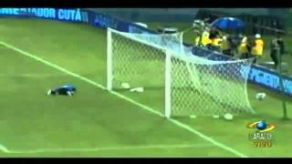 Golazo de Guarin Colombia vs Venezuela 1  1 Eliminatorias 2014 HD [upl. by Carita]