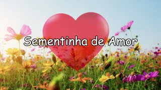 MÚSICA ESPÍRITA INFANTIL  Sementinha de Amor [upl. by Kenzi]