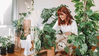 make your house plants thrive 🌿indoor plants care tips amp hacks [upl. by Snapp814]