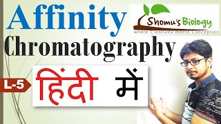 Affinity chromatography in Hindi  principle procedure and uses [upl. by Coco889]