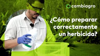 Aplica VINAGRE y AGUA OXIGENADA a tus SEMILLAS y no Creerás lo que pasa Huerto urbano y Plantas [upl. by Emie]