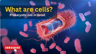 What are cells Structure of prokaryotic cell Understanding PROKARYOTIC CELL in detail [upl. by Aohk]