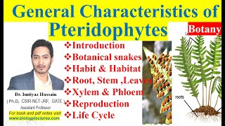 Pteridophytes General Characteristics in Hindi with notes bscbotany 1stsemester pteridophytes [upl. by Nared]