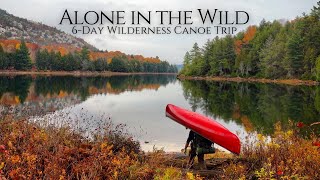 6 Days Camping Alone in the Canadian Wilderness  Killarney [upl. by Ilojne]