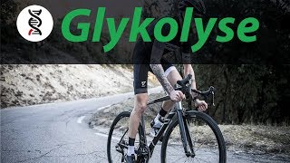 GLYKOLYSE einfach erklärt ABITUR  studyrunner [upl. by Hakilam566]