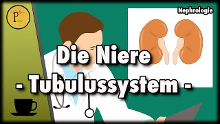 Unser Tubulussystem erklärt Wie wird aus Blut Urin Teil 1 [upl. by Arick]