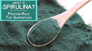 What is Spirulina A Proteinrich Top Superfood Algae [upl. by Smalley]