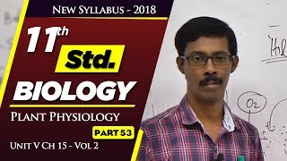 TN 11th Std Biology  Plant Physiology  New Syllabus  2018  Unit V Ch 15  Part 53  VOL 2 [upl. by Noizneb]