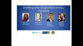 Introduction and Panel 1 The Drafting amp Origination of the MLIJ [upl. by Barra]