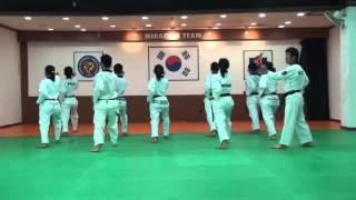 TAEKWONDO POOMSAE TAEGEUK 4 SA JANG 4 태극4장 WITH MASTER KANG JAE JIN [upl. by Enovaj]