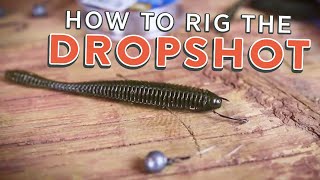 Drop Shot Rig How To Rig the Drop Shot Tutorial [upl. by Anitnelav658]