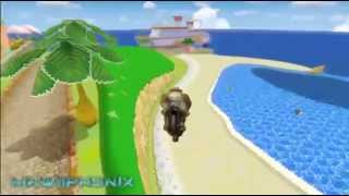 MKWii  TAS GCN Peach Beach Flap 16596 [upl. by Acissej]